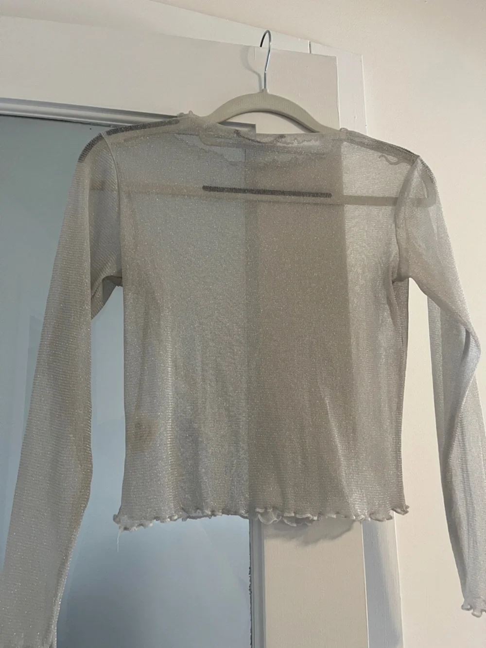Brandy Melville Silver Metallic Sheer Long Sleeve Top - Picture 6 of 6